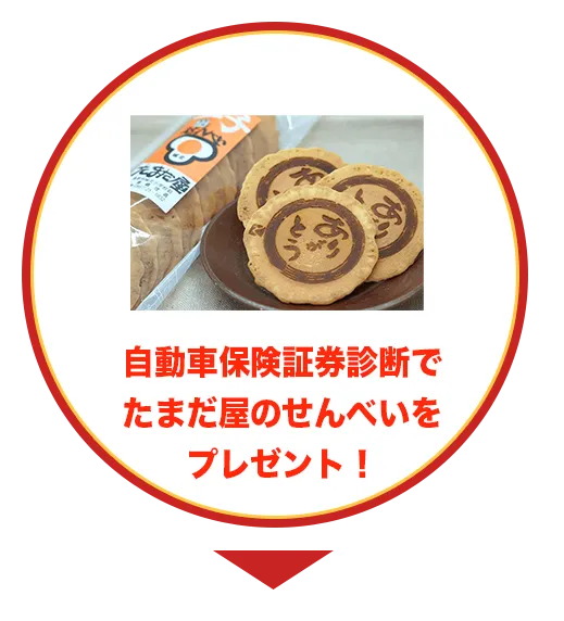 自動車保険証券診断でたまだ屋のせんべいをプレゼント！