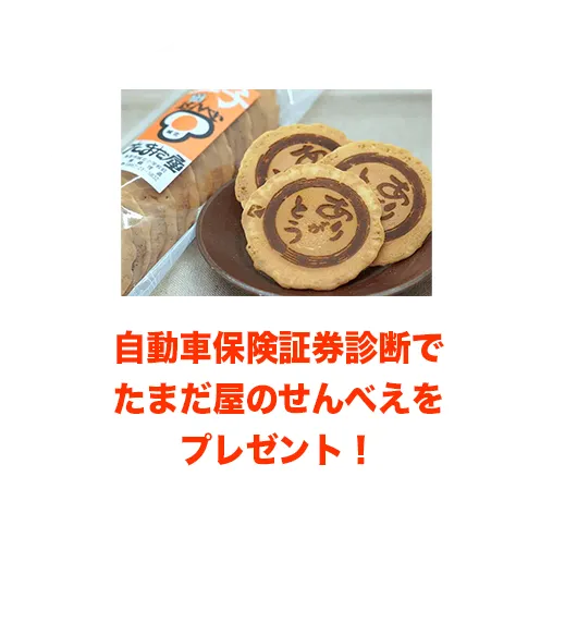 展示会中に、鳥取三菱自動車販売グループにて自動車保険証券診断でたまだ屋のせんべえをプレゼント！